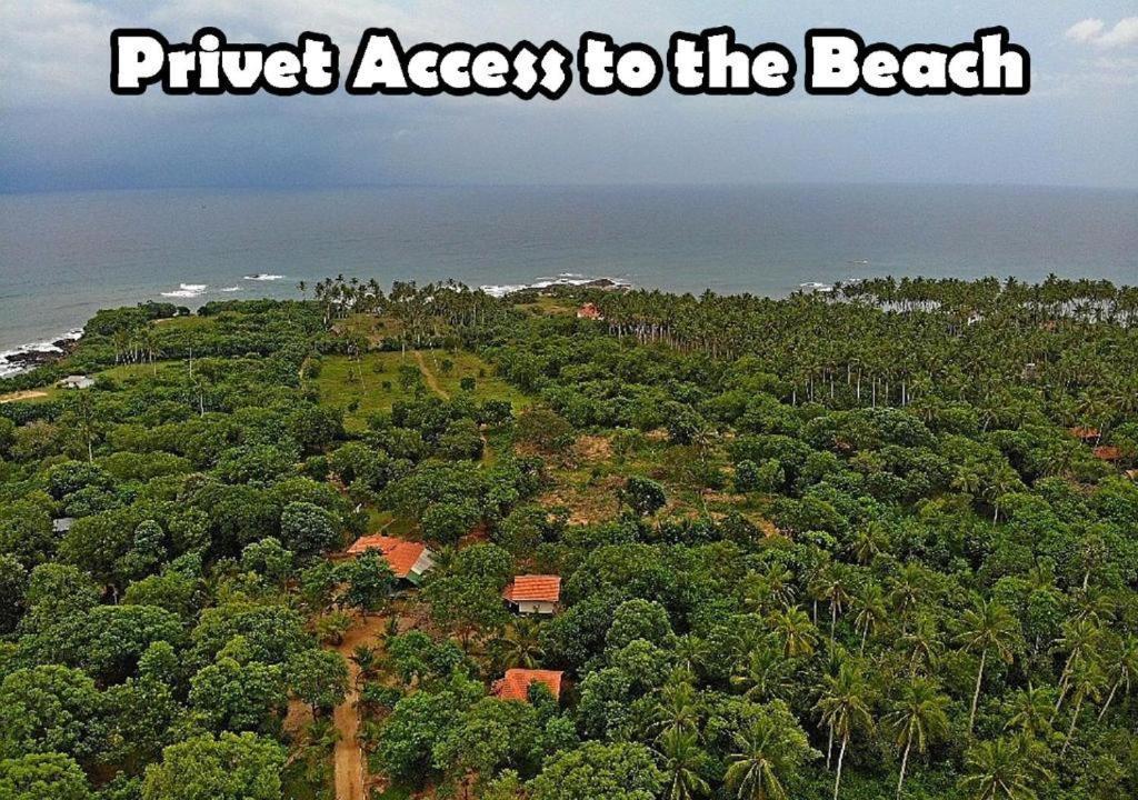 Turtles View Resort Tangalle Exterior foto