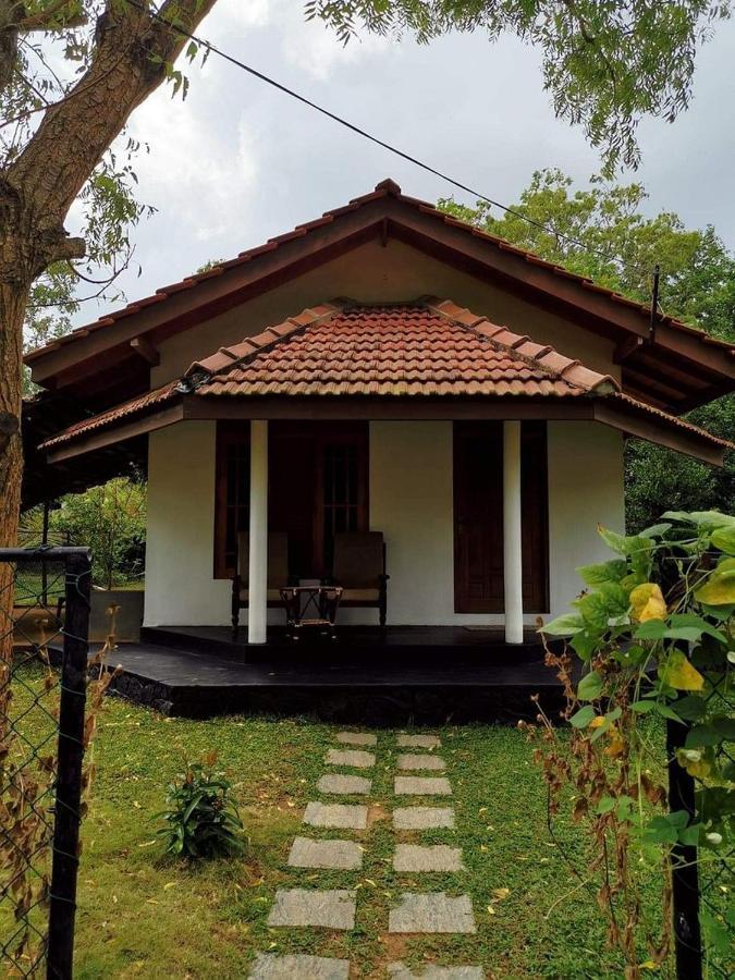 Turtles View Resort Tangalle Exterior foto
