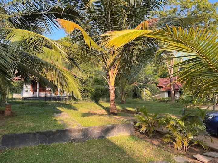 Turtles View Resort Tangalle Exterior foto
